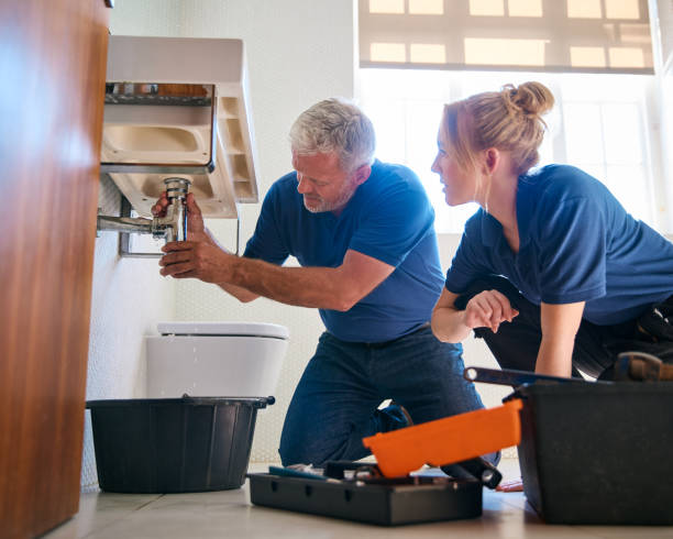  Ovid, MI Plumbing Services Pros