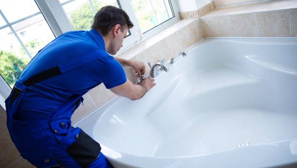 Best Commercial Plumbing Services  in Ovid, MI